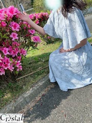 ؗyz(38)̉摜@|fo[wX NX^